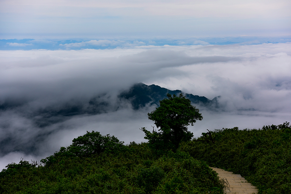国家森林公园大熊山风光