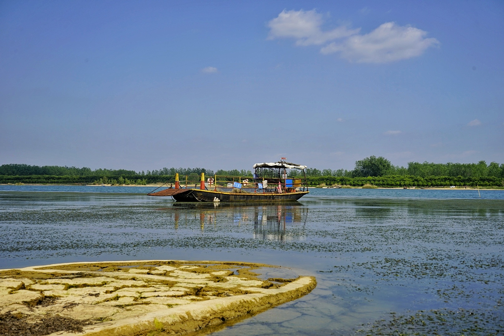 [美丽的自然生态银杏湖] 组照 王双庆 13851885859