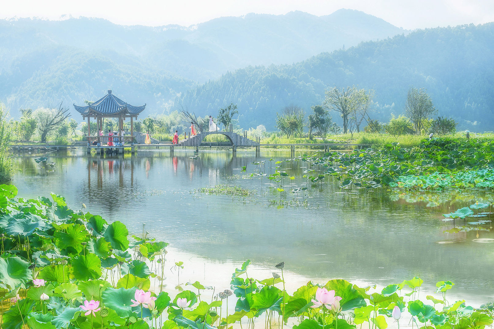 拍摄时间:2019年7月21日,地点:武夷山市五夫镇,荷花节.