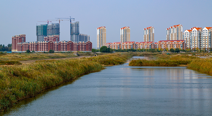 和谐之美,鞠春喜,13791159015发信,威海市文登区南海新区.jpg