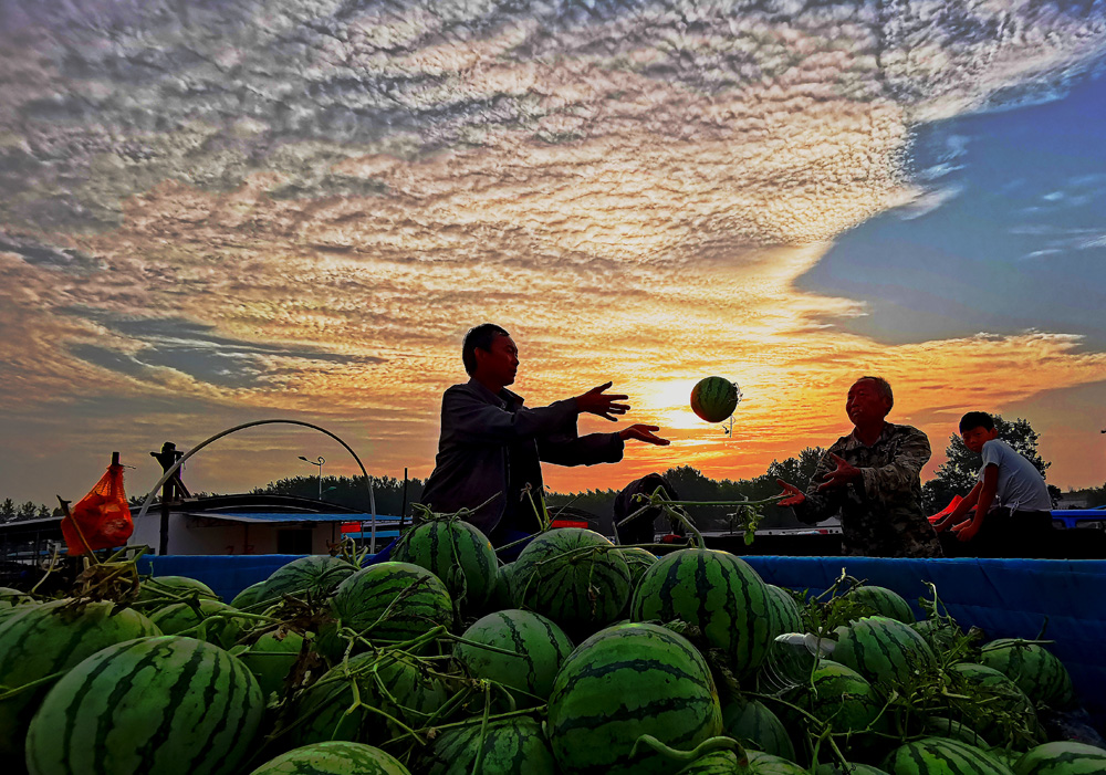 2019年6月25日,安徽省固镇县石湖西瓜市场正在卖瓜的贫困户.