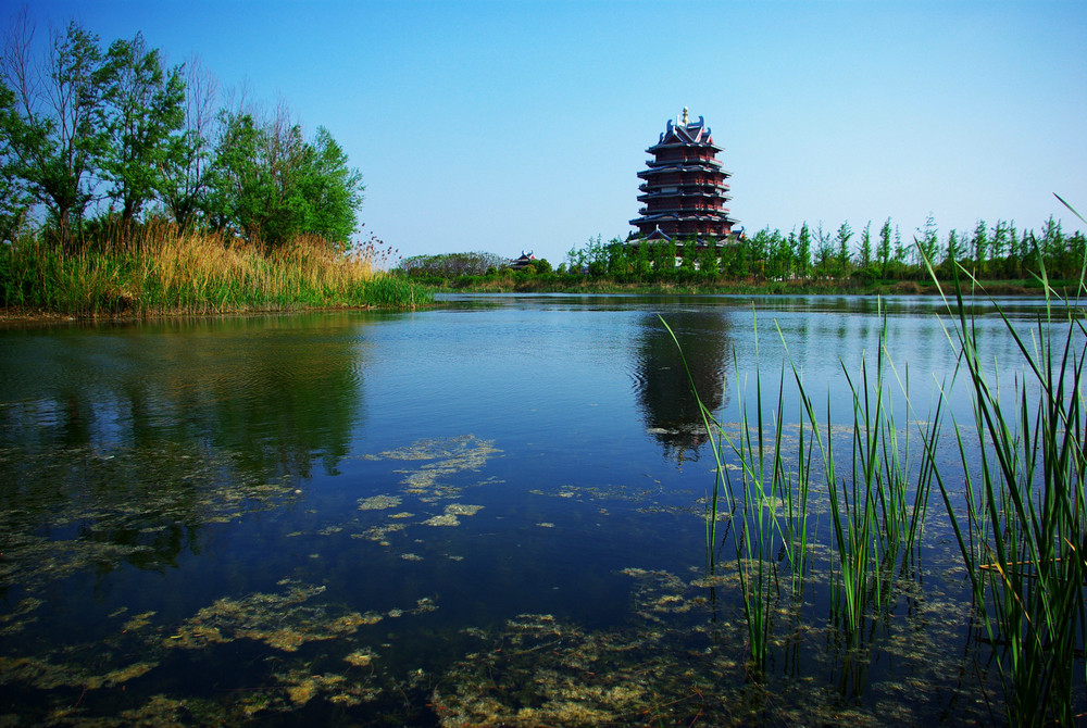 李琼 《湿地公园》 江苏徐州邳州沙沟湖公园.jpg