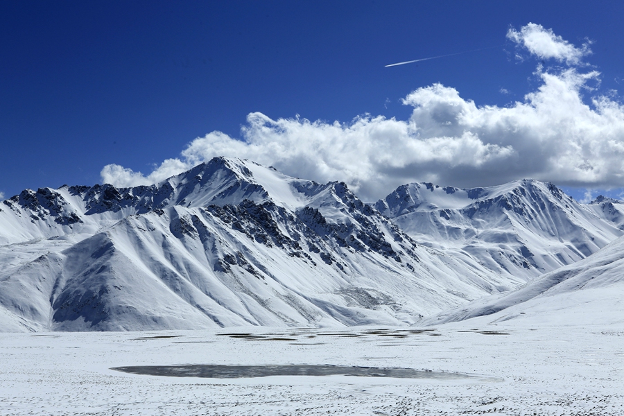 高原湿地(组照3) 姜爱平摄.jpg