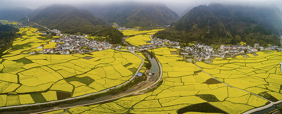 拍于2019年3月30日,石台县高路亭村