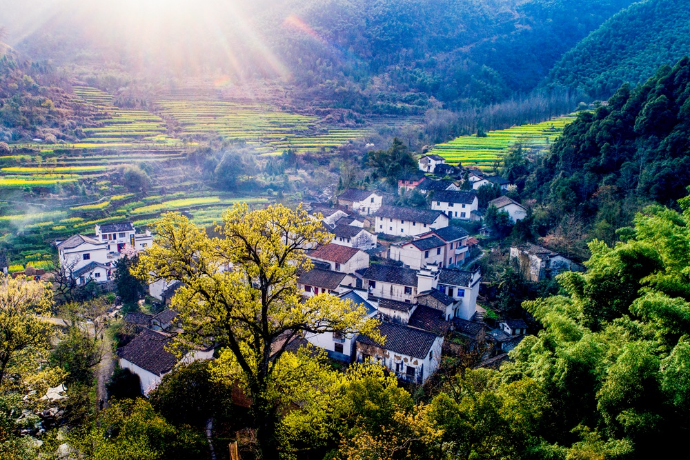 3.24拍摄于安徽省石台县白石岭