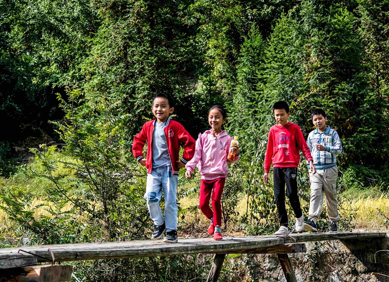 放学回家结伴而行,小学生们行走在独木桥上.