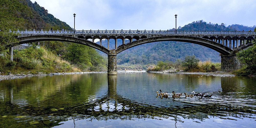 《门前大桥下游过一群鸭》