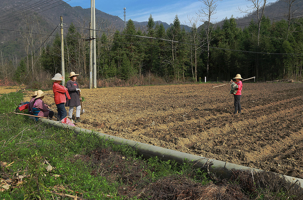 田间随手拍摄咱农友(组图)