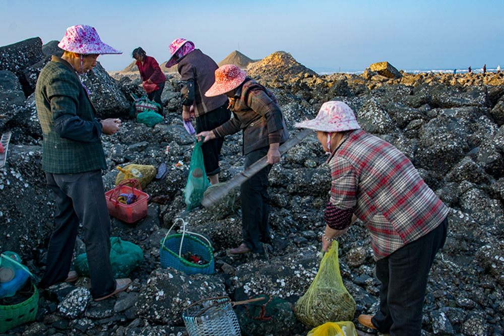 《劳作的渔民(组照)》