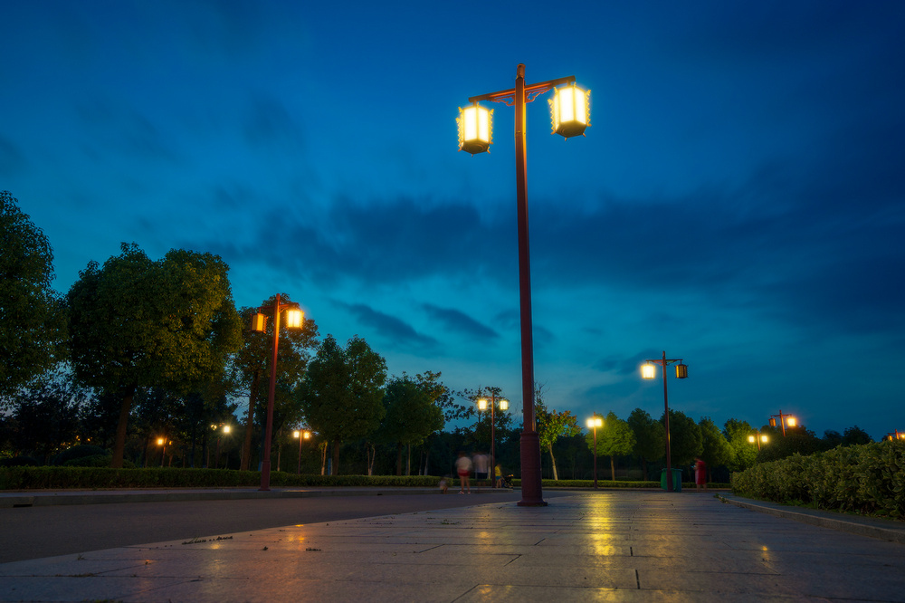 李琼-暮色下的路灯-江苏省徐州市邳州市沙沟湖水杉公园.jpg