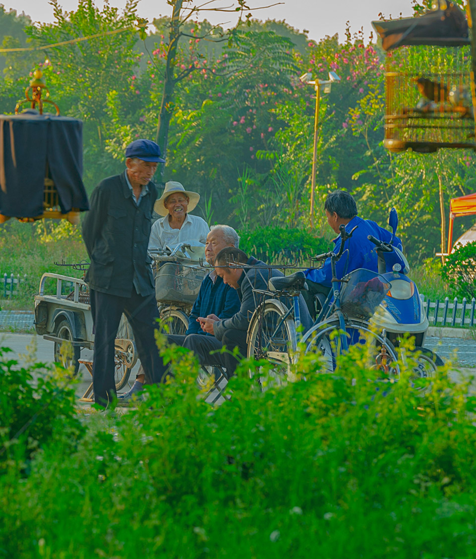 新时代好生活鸟鸣村民乐(组照)-"美丽乡村"全国摄影大展征稿区-大众