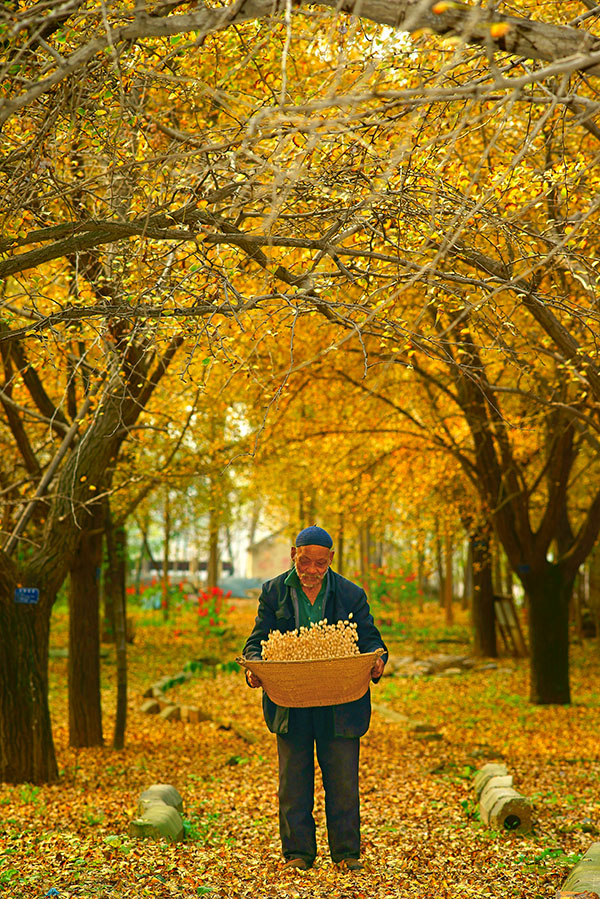"美丽乡村"展征稿-"美丽乡村"全国摄影大展征稿区-大众摄影网