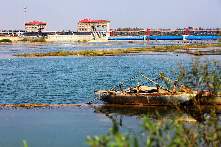 拍于邳州市官湖镇银杏湖