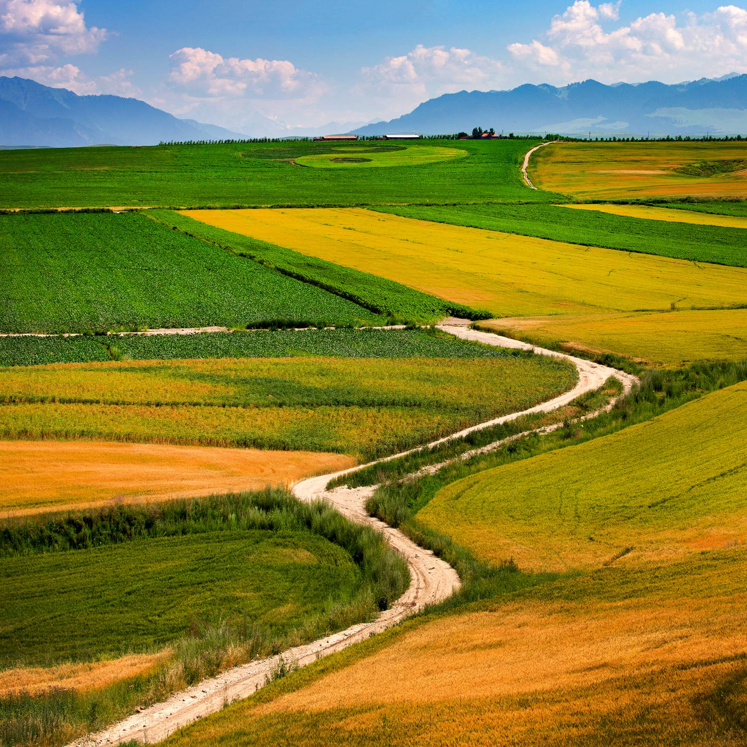 田园风光-《大众摄影》俱乐部团体会员——福州平一影像俱乐部(1星)
