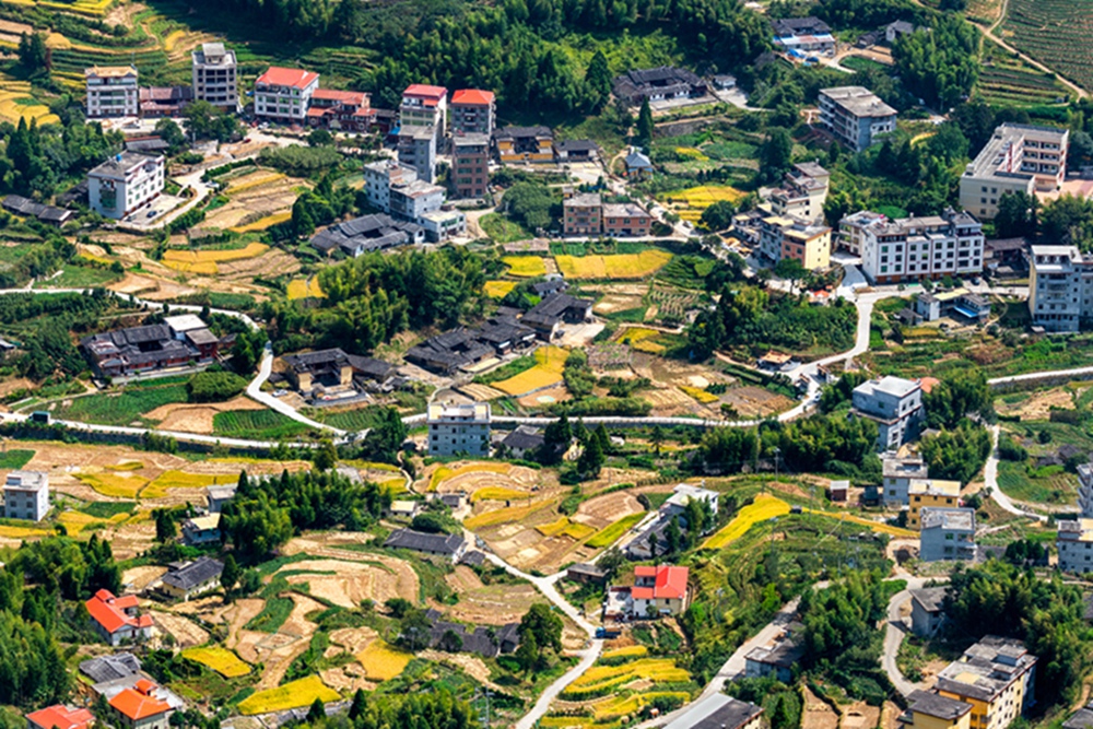 201910月拍于福建泉州永春呈祥乡.