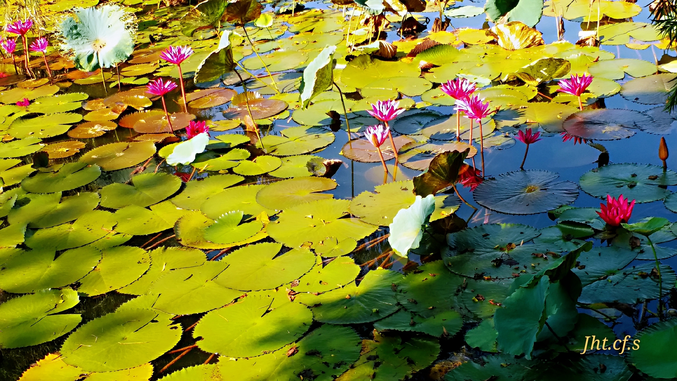 11.8.广州长湴公园