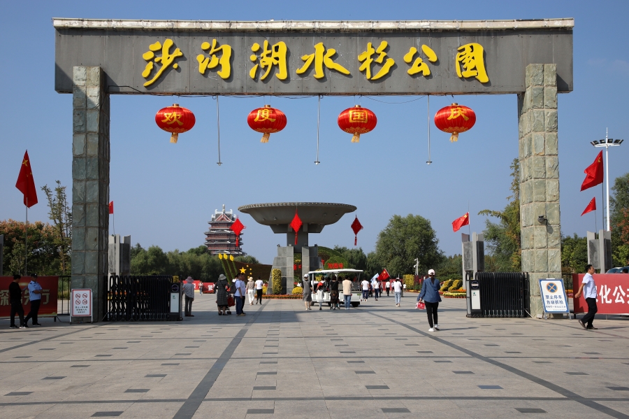 美丽的沙沟湖水杉公园