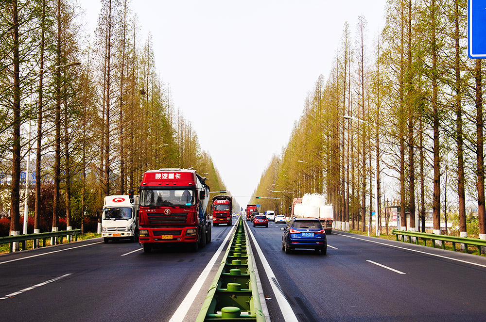 中国最长水杉大道--邳州