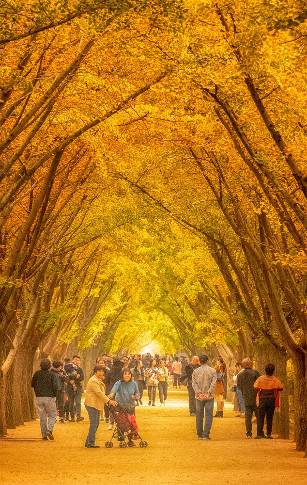 时光隧道