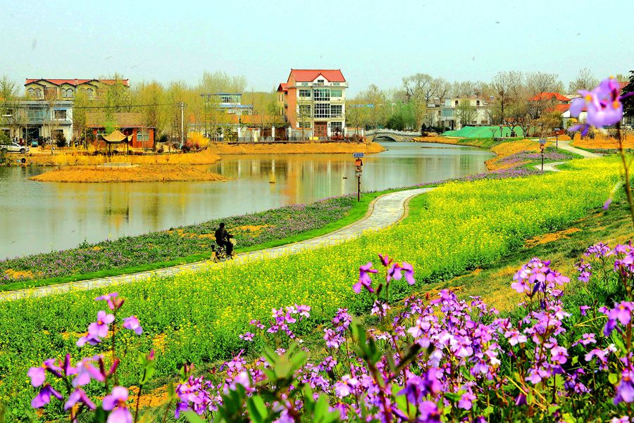 题名《 美丽授贤村》 作者 董忠全 2019-3-29摄于邳州市港上镇 手机