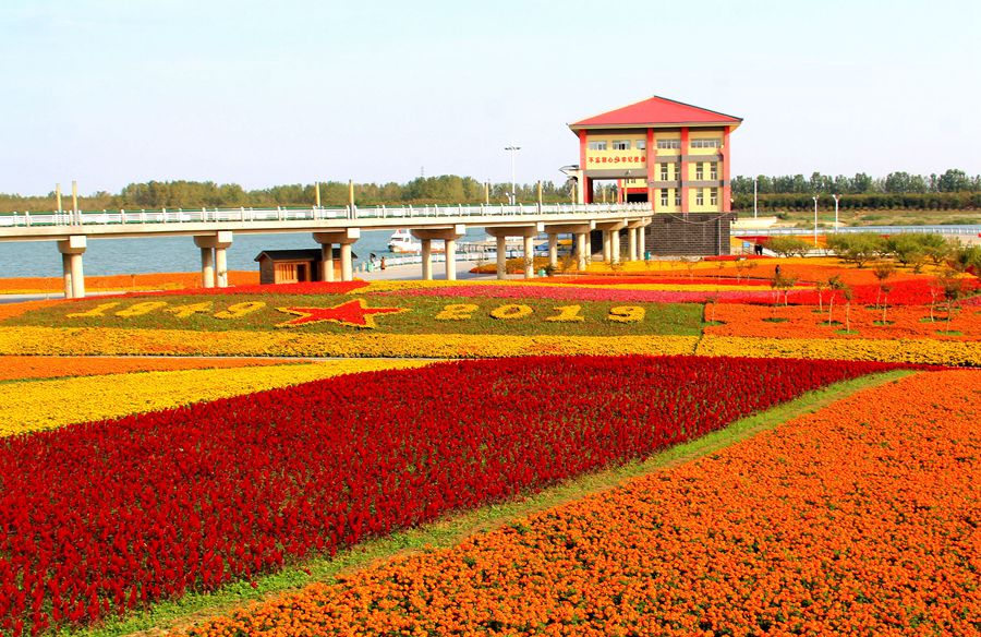 题名《七彩银杏湖 》 作者 董忠全 2019-10-14 摄于邳州市官湖镇银杏