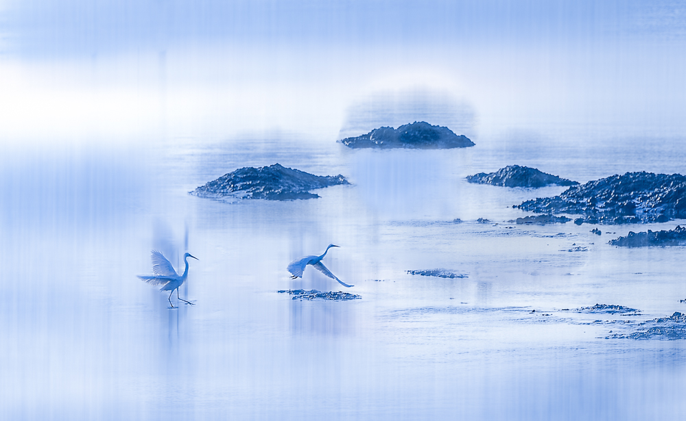 天光云影共徘徊