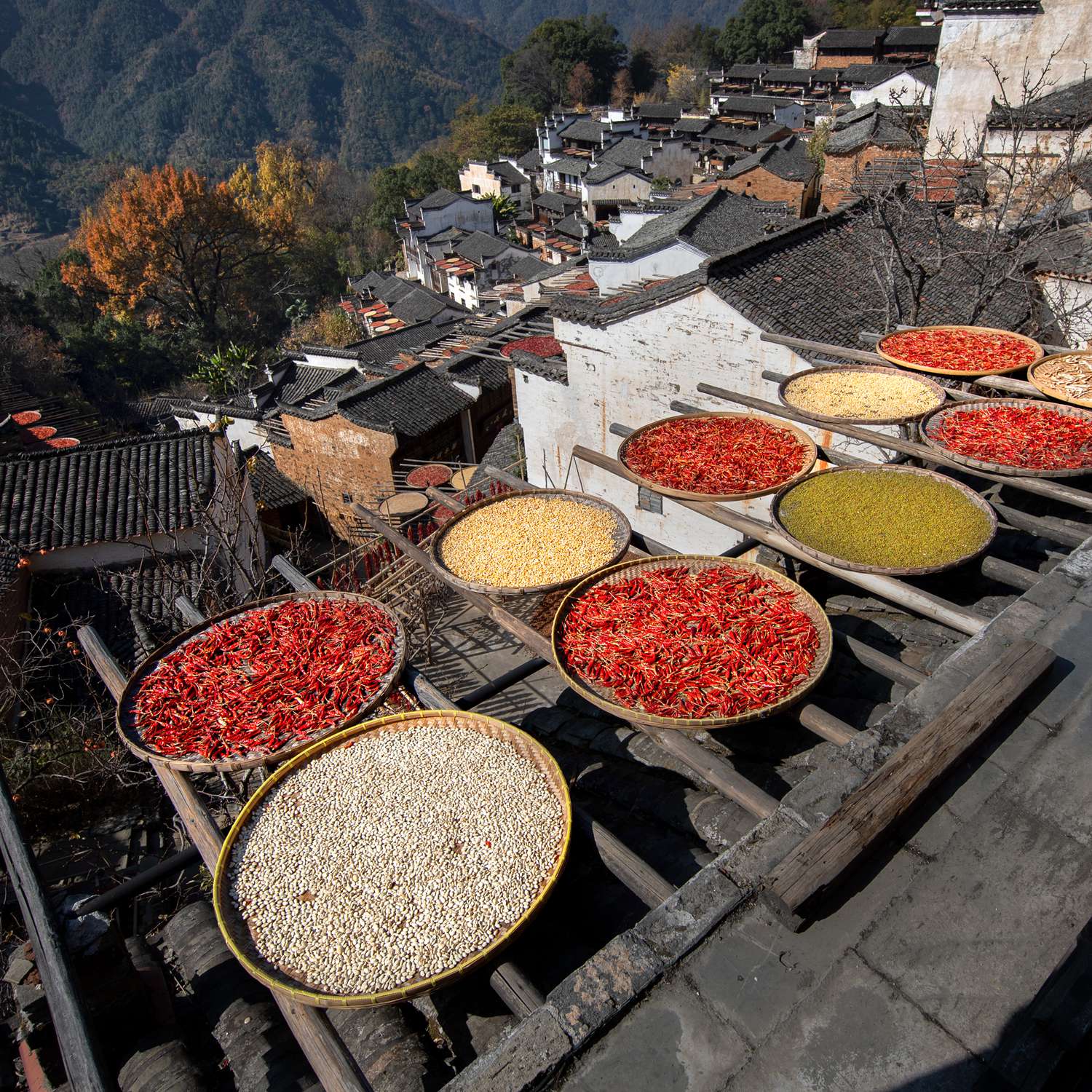 《晒秋》-《大众摄影》俱乐部团体会员——福州平一影像俱乐部(1星)