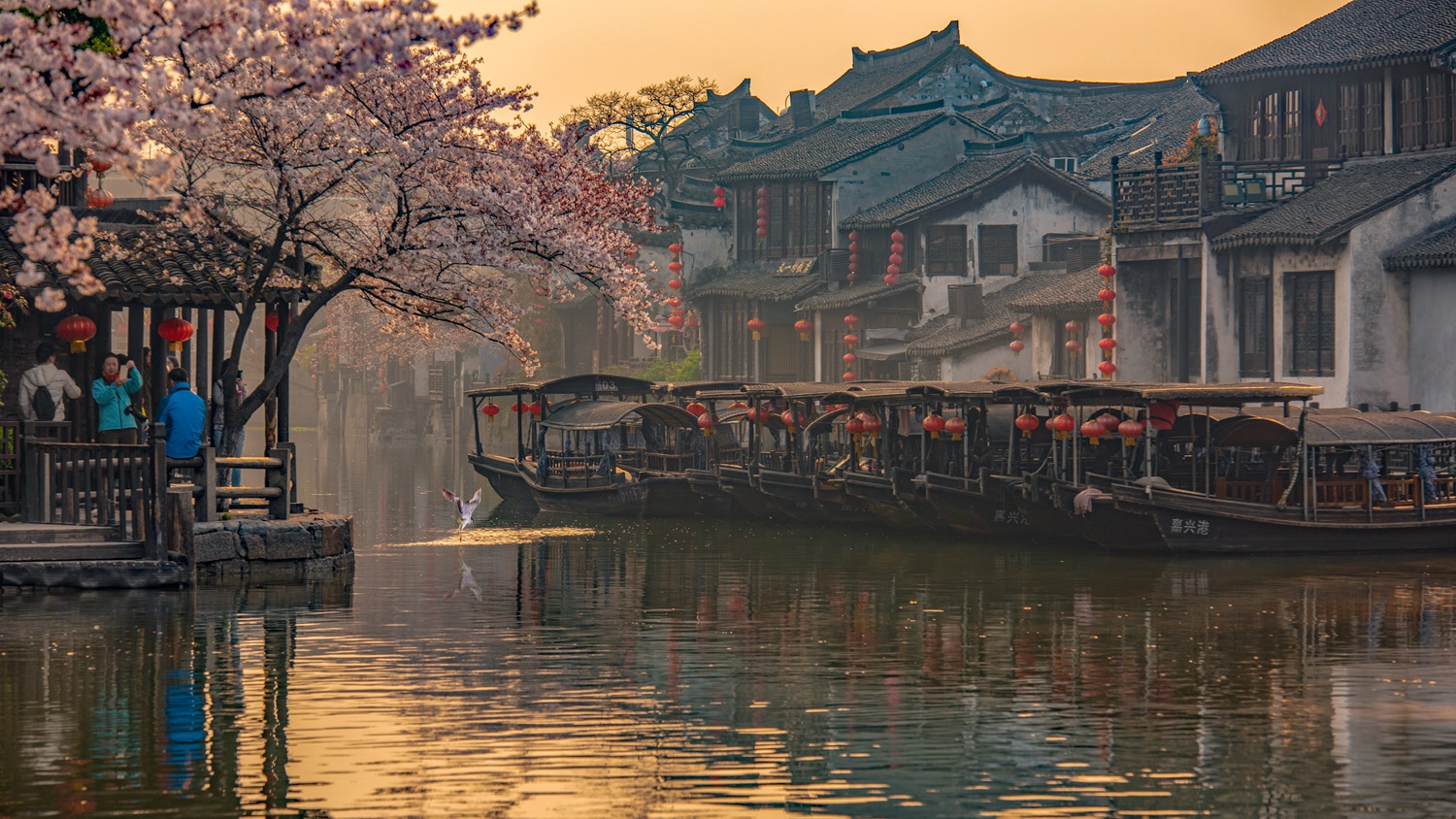 《水乡晨光》-《大众摄影》俱乐部团体会员——福州平一影像俱乐部(1