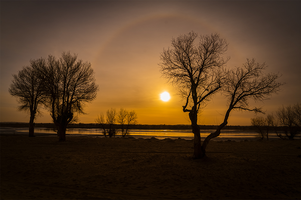 《最美不过夕阳红》