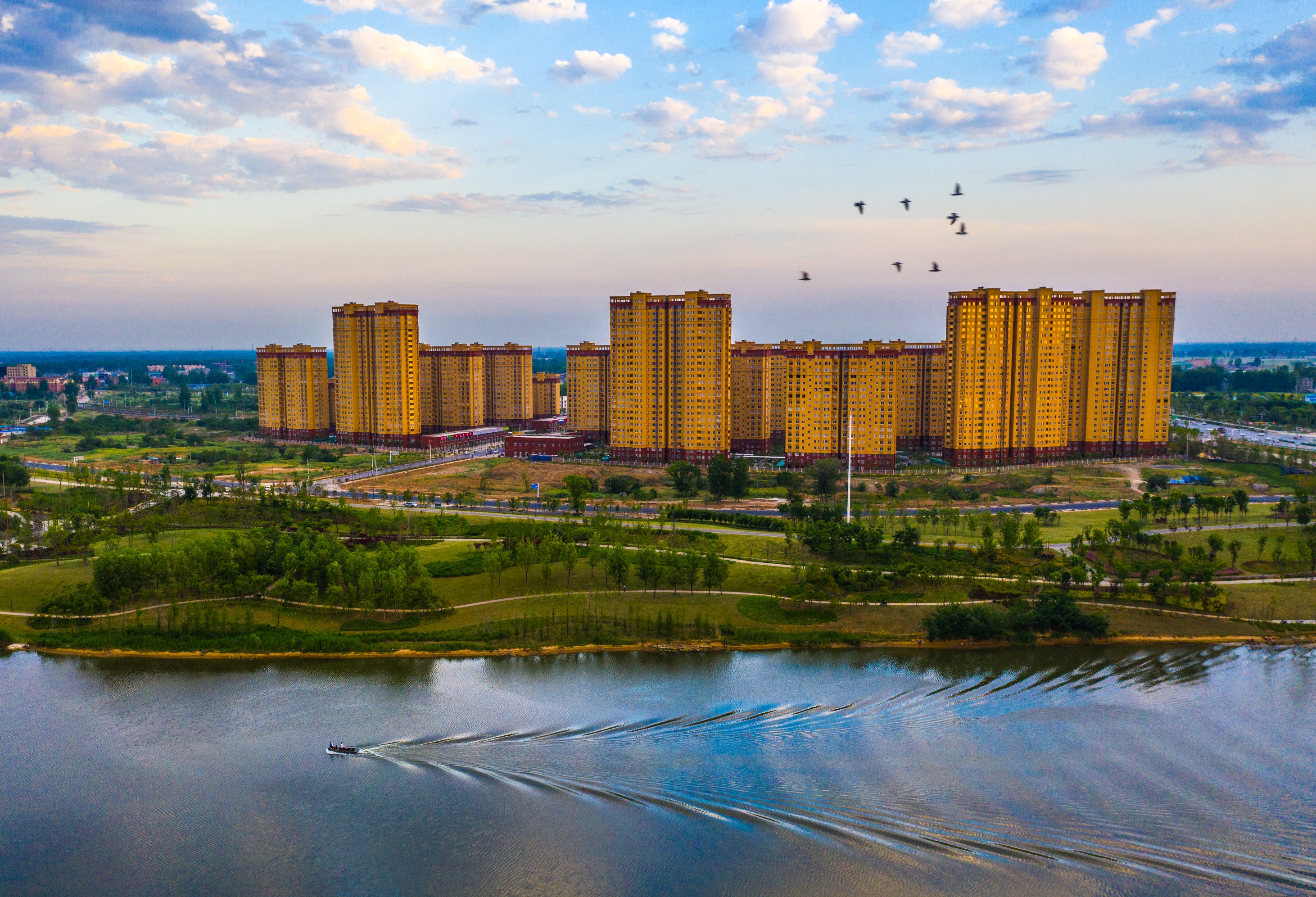 拍摄时间:2019年5月11日  拍摄地点:安徽省阜阳市太和县  湿地公园.