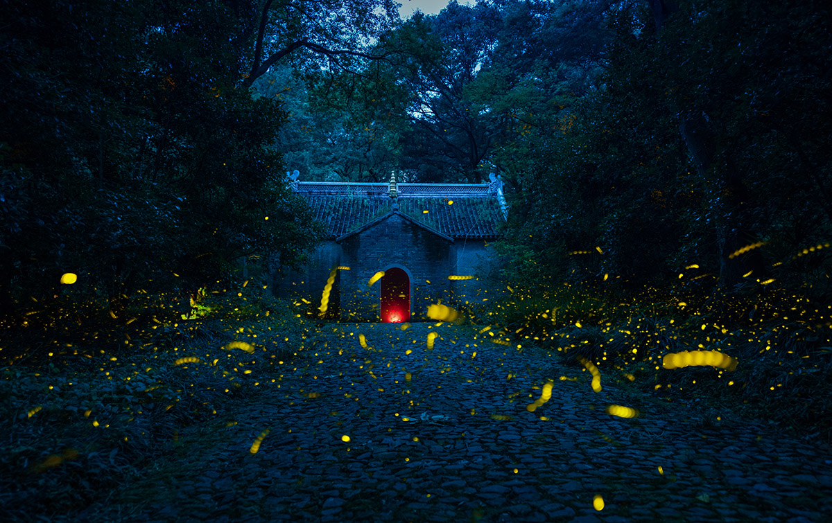 《古寺流萤》拍摄于南京灵谷寺,仲夏之夜,萤火虫在古寺周围闪烁,没妹