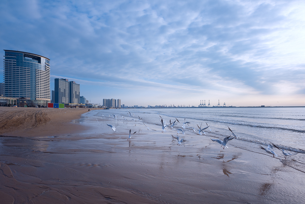 2020年2月26日摄于河北省秦皇岛市金梦海湾