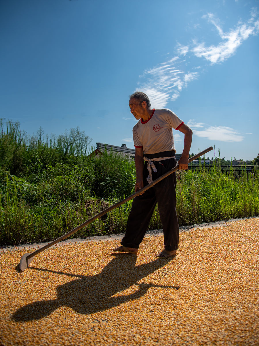 辛勤劳作的留守老人