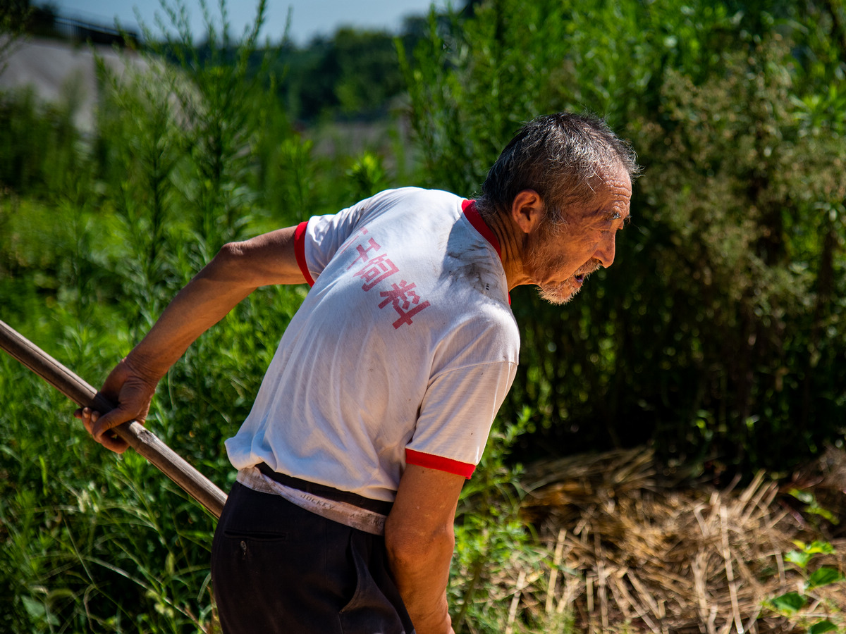 辛勤劳作的留守老人