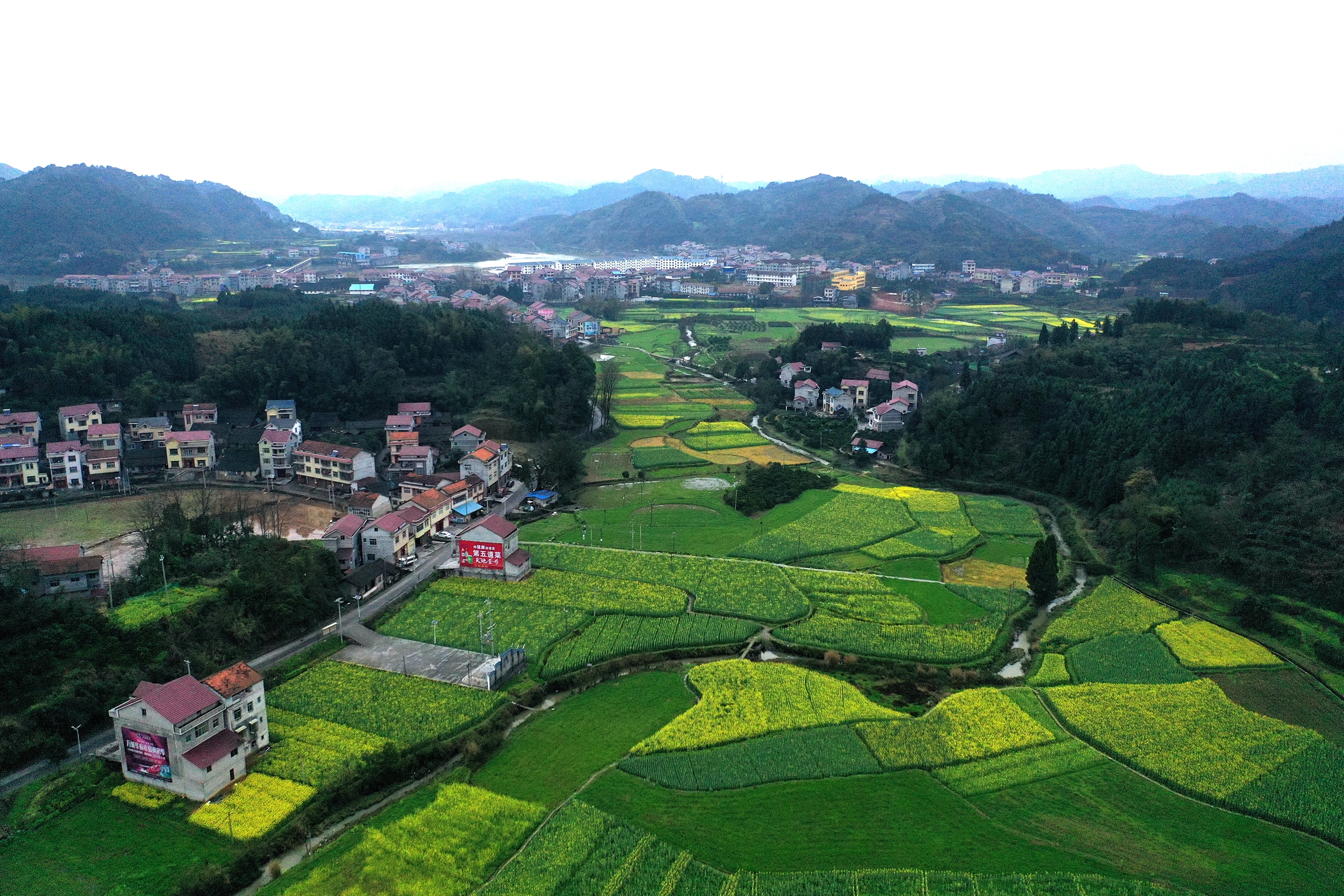 祖国处处是春天