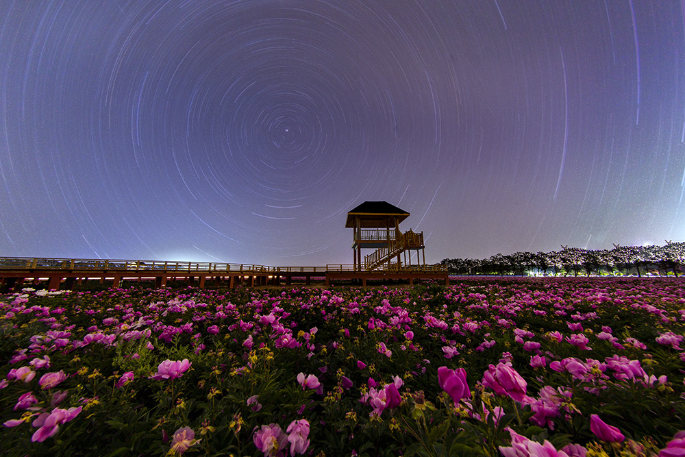 花海星空