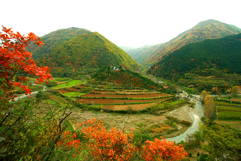 桃花岭-大秦岭的会客厅61凤县全国摄影大展征稿区-大众摄影网