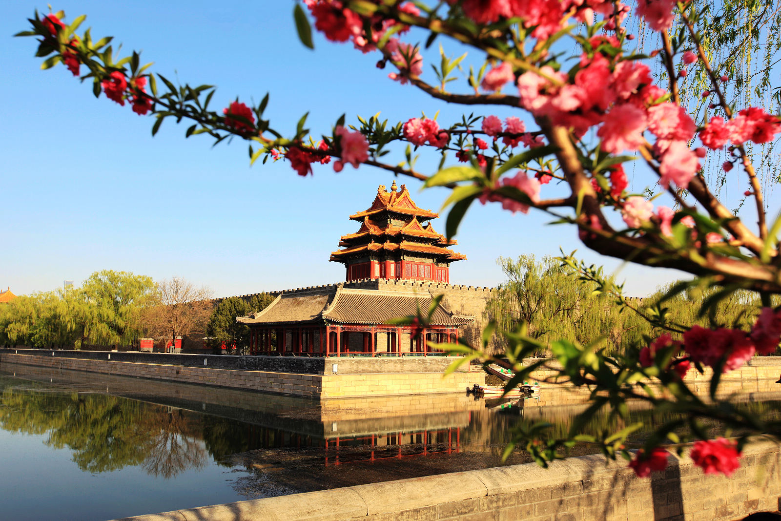 北京:春到故宫角楼