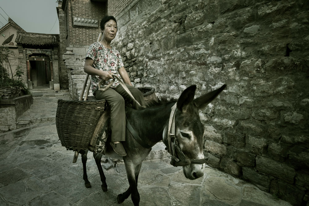 骑毛驴的老妇人 郭静(河北邯郸)