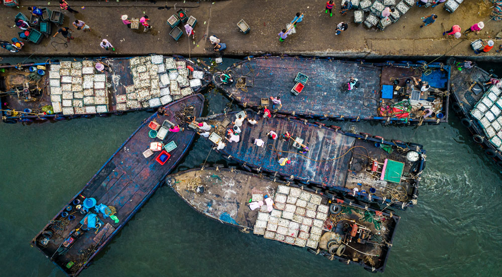 渔船归来 邓杏文(广东深圳)