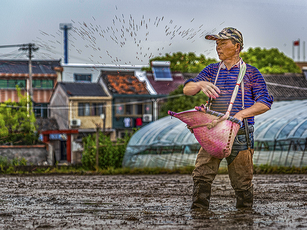 《播撒希望的种子》