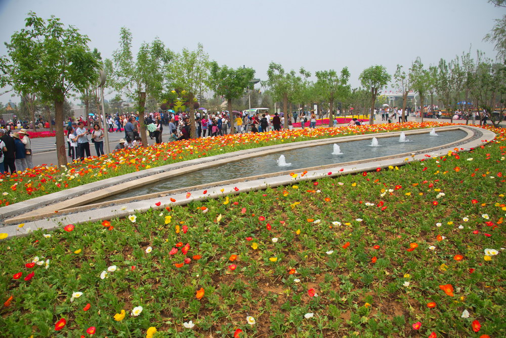 《美丽的大花园》