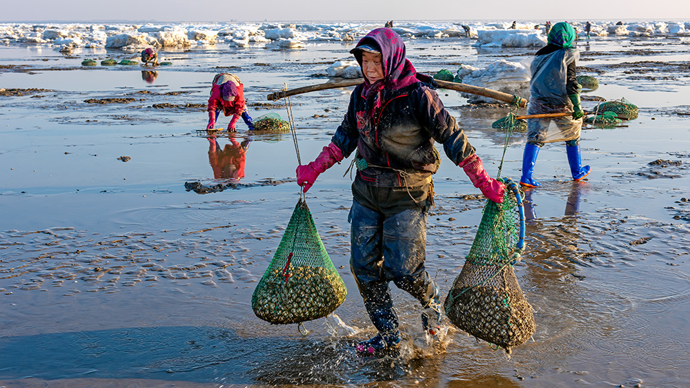 《寒冬赶海人》