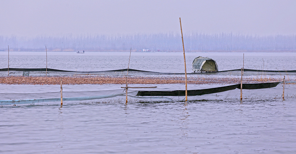 2018年2月14日,河南省民权县黄河故道湿地,一只渔船在湖中打鱼.