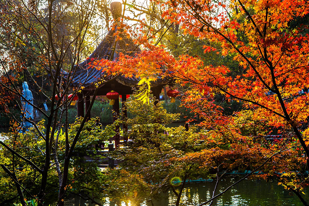 南京栖霞山景色迷人,名胜古迹遍布诸峰,被誉为"第一金陵明秀山",到了