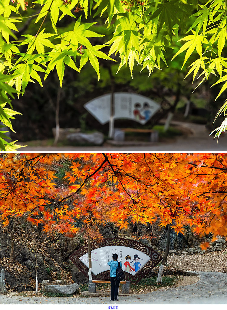 春秋对比系列-12《桃花扇前》