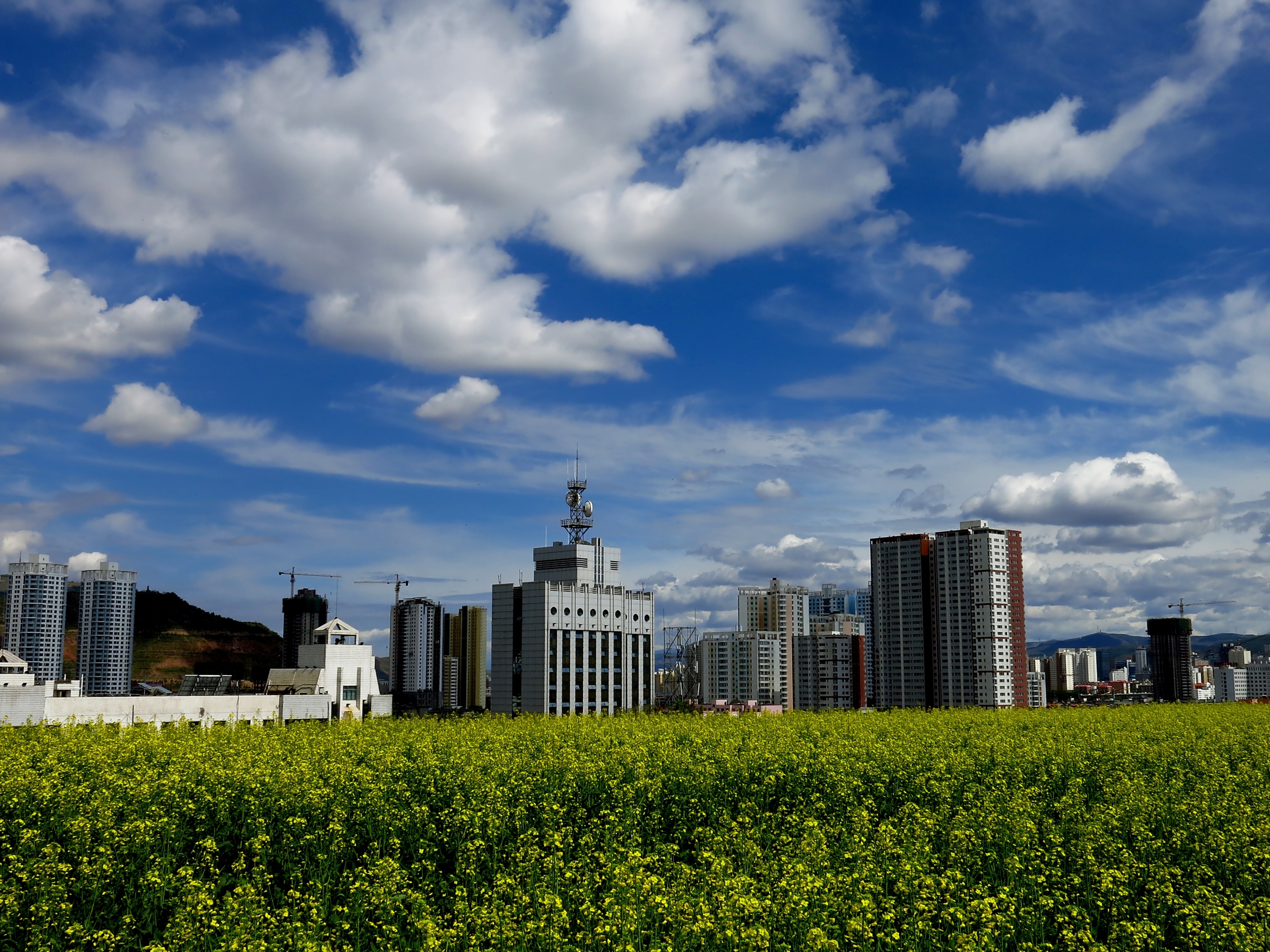 新城七月  摄于西宁市城北区.