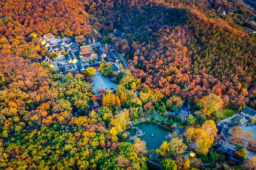 拍摄于南京栖霞山风景区  2019年11月