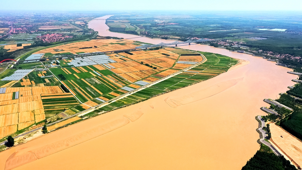 2020年6月14日,山东省东营市利津县黄河滩区生态风光美景.