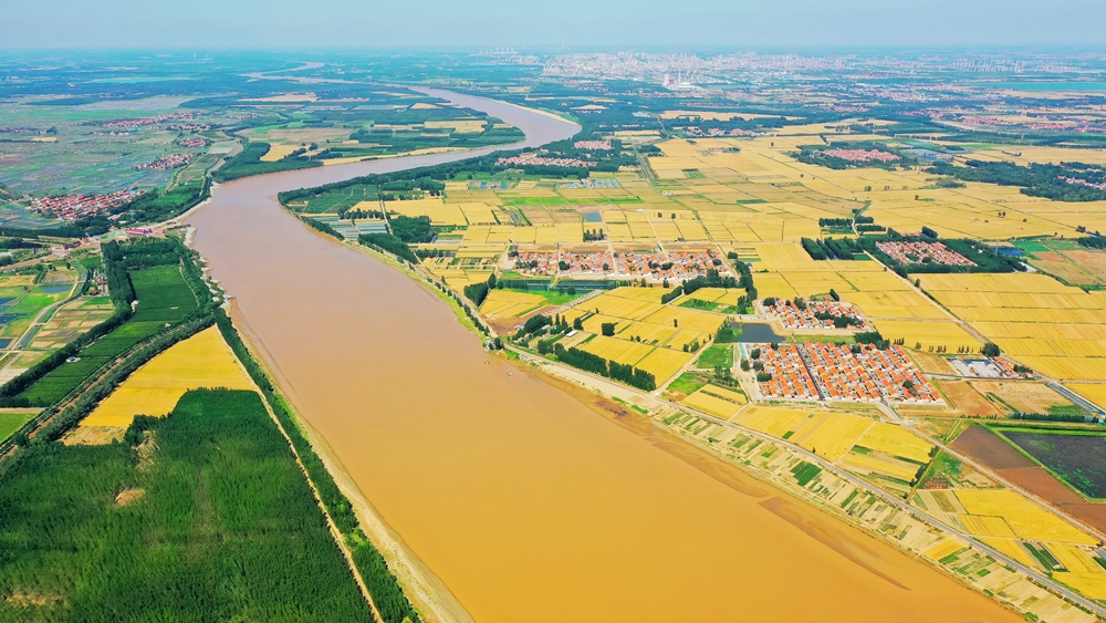 2019年6月9日,拍摄于山东省东营市利津县黄河滩,黄河滩村庄生态美景.